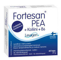 Fortesan &#1042;&#1080;&#1090;&#1072;&#1084;&#1080;&#1085;&#1085;&#1099;&#1081; &#1082;&#1086;&#1084;&#1087;&#1083;&#1077;&#1082;&#1089; PEA + &#1061;&#1086;&#1083;&#1080;&#1085; + &#1041;6 60 &#1082;&#1072;&#1087;&#1089;